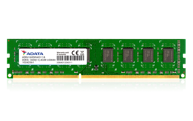 Casi Ninguna Limpiar el piso Premier Series DDR3L-1600 U-DIMM Memory Module (United Kingdom)