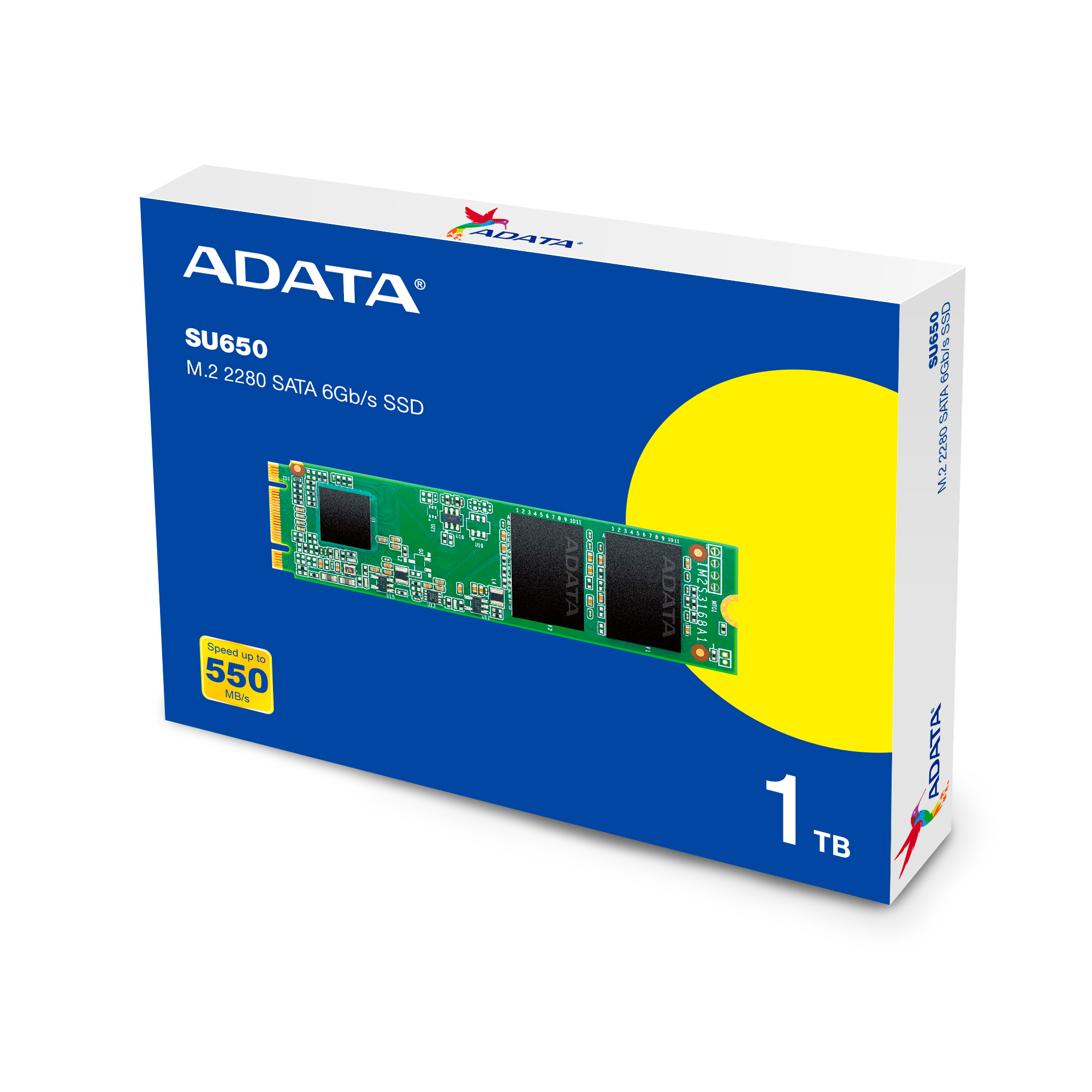 ADATA SU650 SSD 240GB, Unità A Stato Solido 2.5 Pollici, Lettura 520MB/s, Aggiornamento PC Facile E Veloce