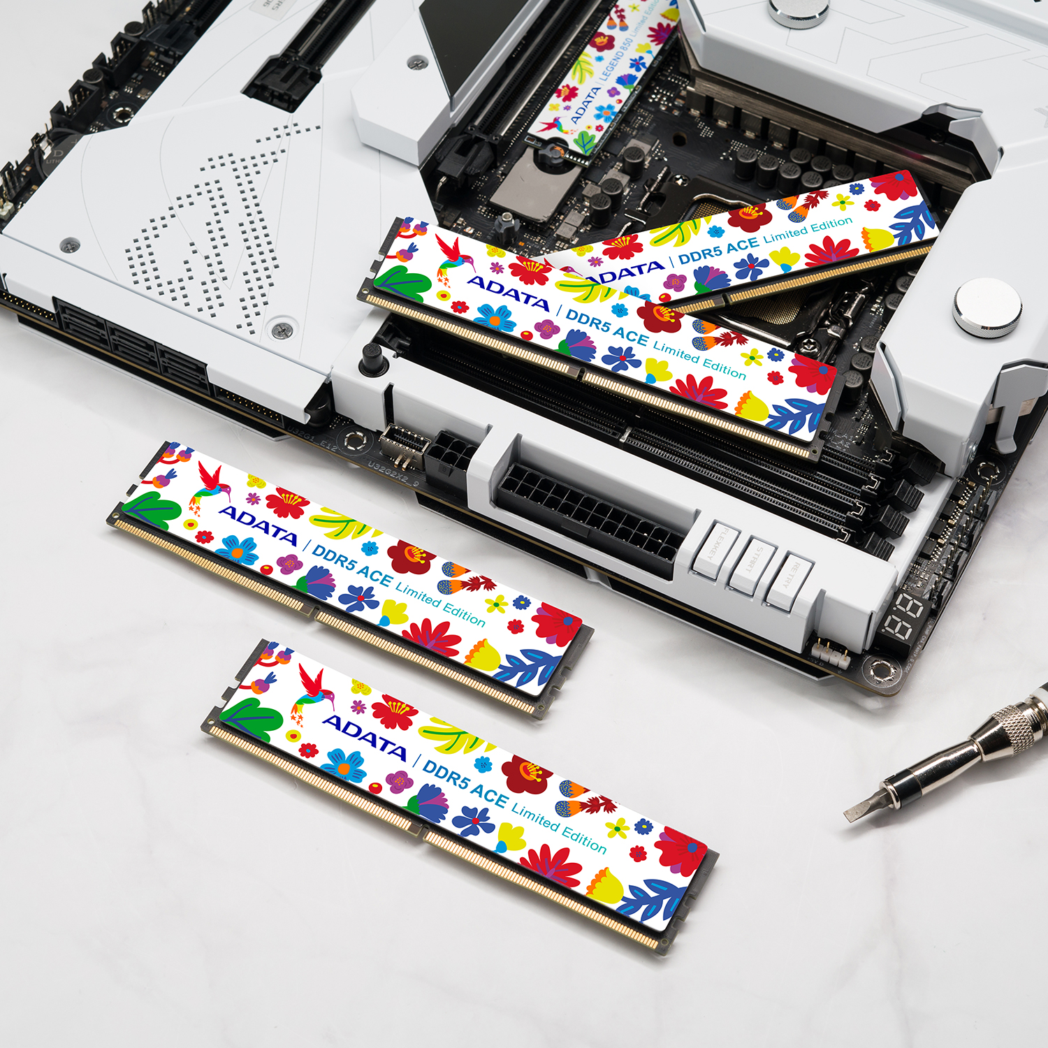 ACE DDR5 Memory Module Limited-Edition | ADATA (United States)