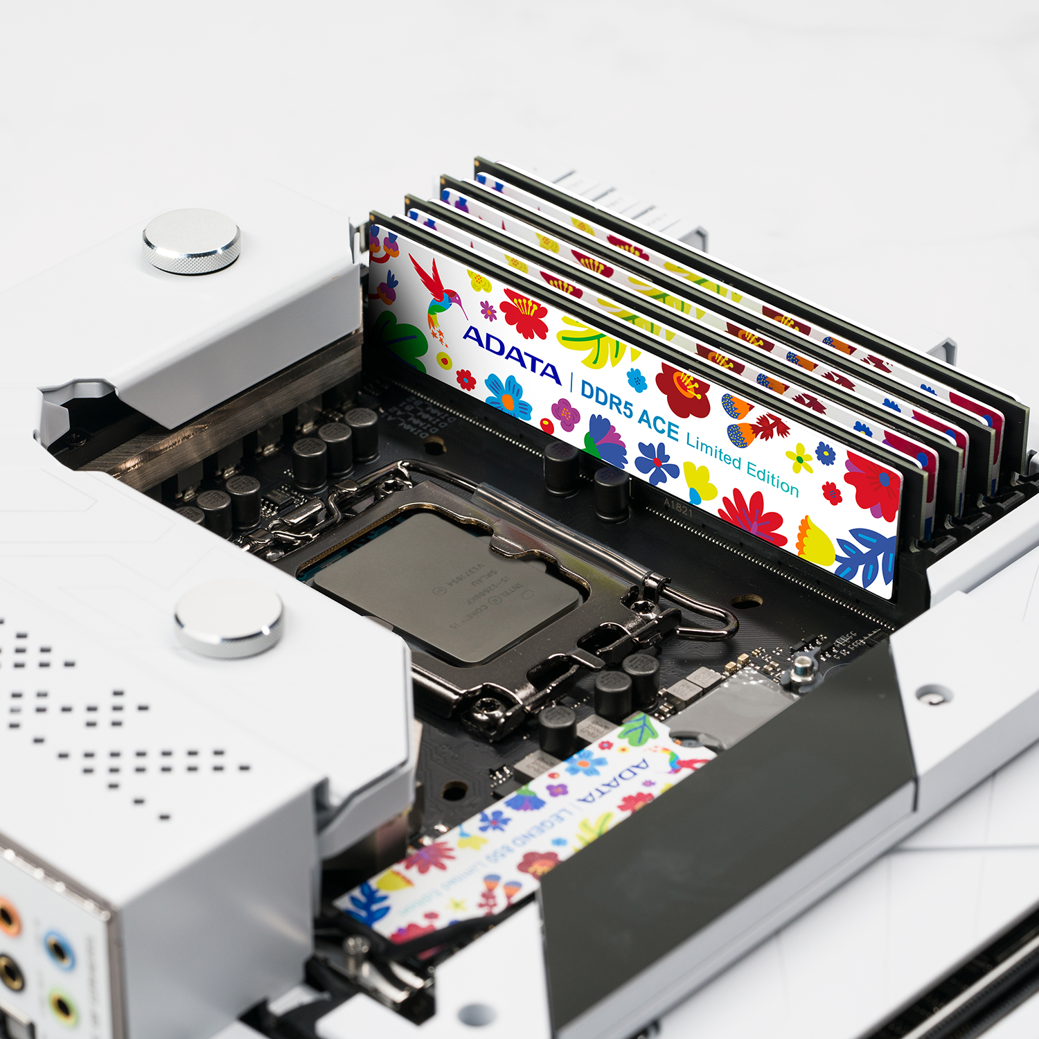 ACE DDR5 Memory Module Limited-Edition | ADATA (Global)