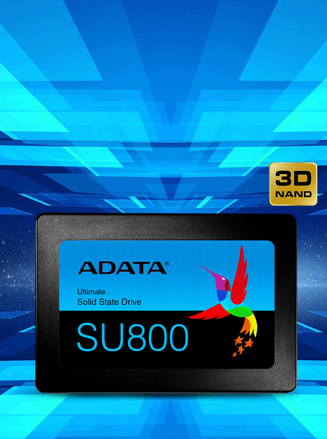 Ssd adata su800 on sale 512gb