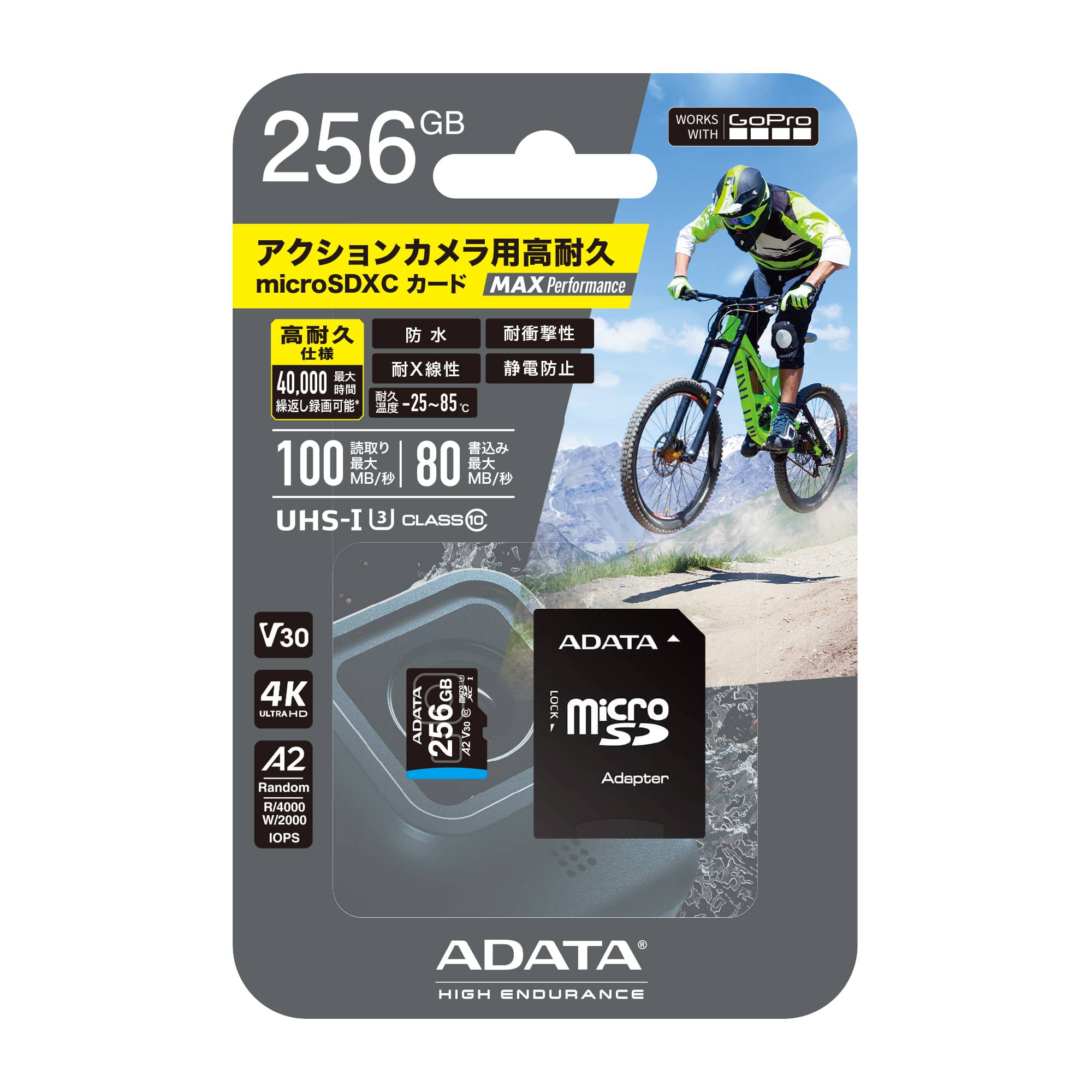 GoPro microSDXC/SDHC UHS-I U3 V30S High Endurance (Japan)