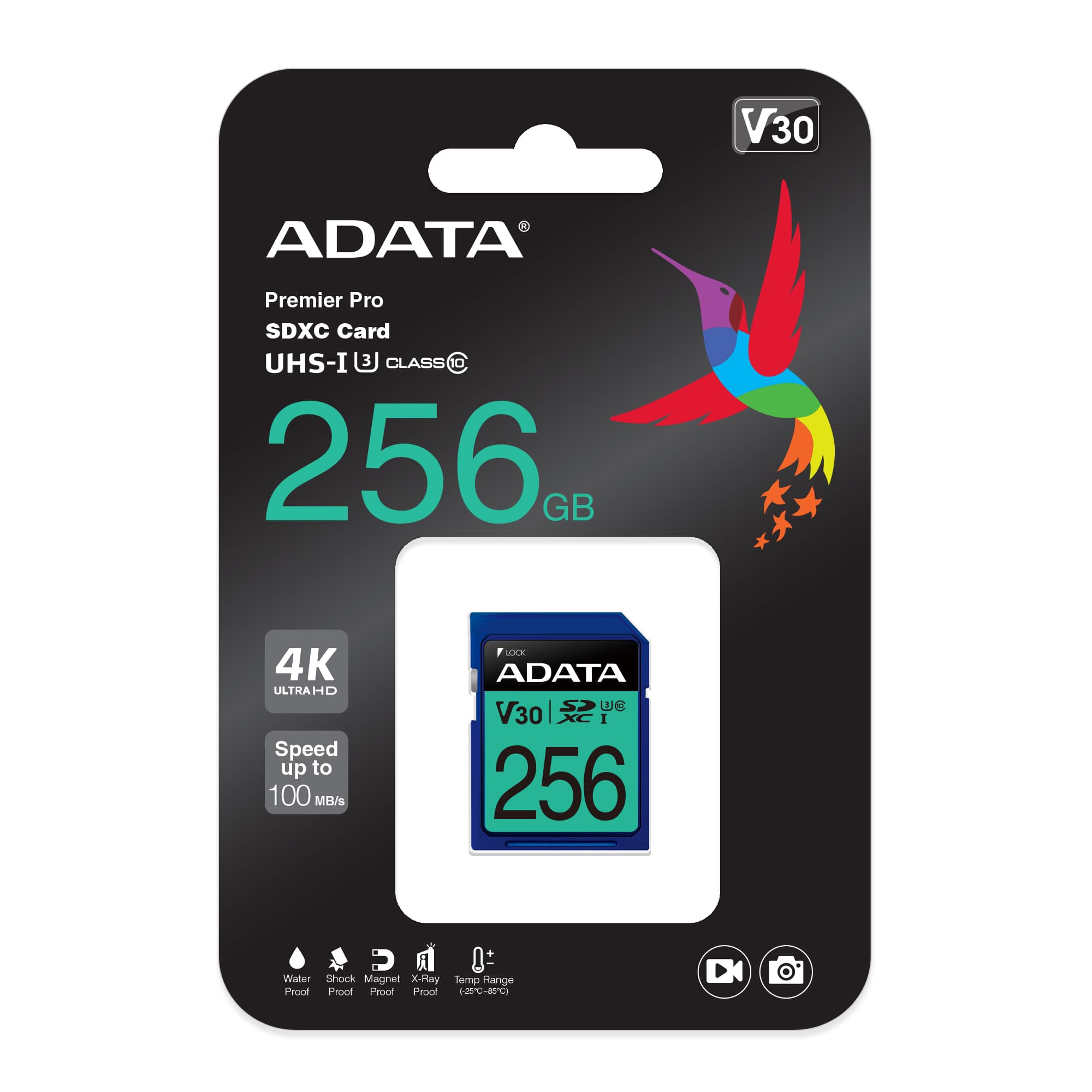 ADATA Premier Pro Scheda di memoria 128 GB microSDXC UHS-I 10 AUSDX 128GUI3V30SA Class 