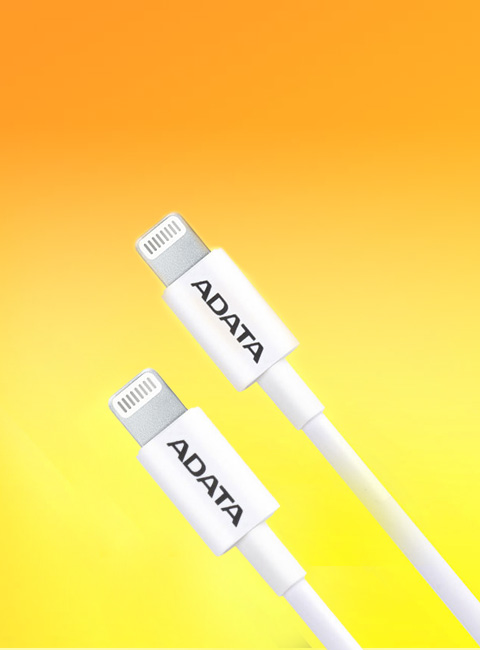 SiGN cable USB-C a Lightning para iPhone / iPad Apple MFi Online
