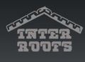 INTER ROOF ELECTRONIC SYSTEMS (P) L
